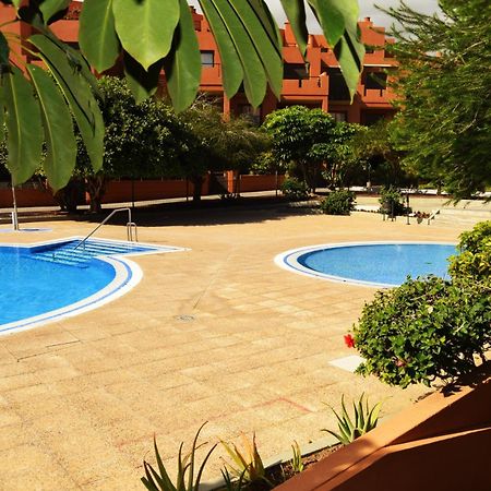 Alquilaencanarias El Medano Sotavento, Great Terrace And Beach Eksteriør billede